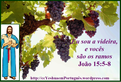 1 I am the vine you are the branches with Jesus (P)